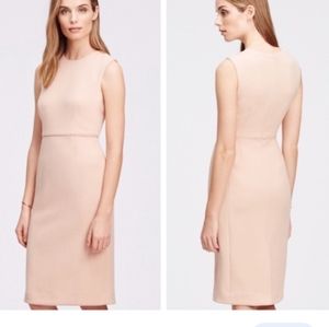 Ann Taylor Sheath Dress Blush Pink SZ.8P NWT